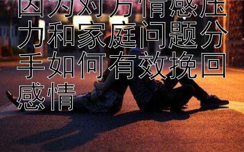 因为对方情感压力和家庭问题分手如何有效挽回感情