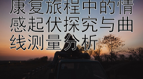 康复旅程中的情感起伏探究与曲线测量分析