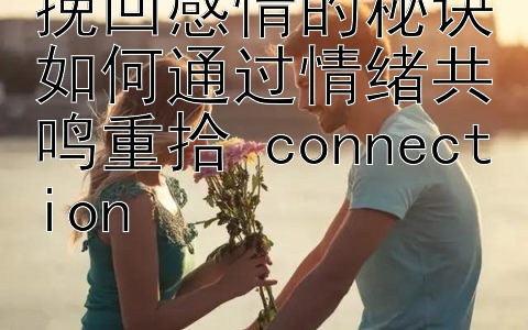 挽回感情的秘诀如何通过情绪共鸣重拾 connection